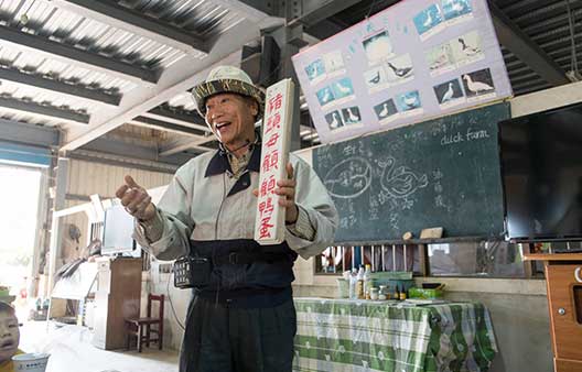 鴨卵教室/台湾のことわざ教室